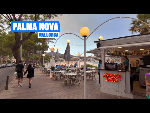 Palma Nova Mallorca 🇪🇸 Evening🌛