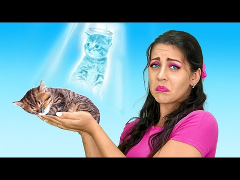 🚨 I Need to Save Tiny Street Cat! Useful Pet Hacks & Crafts by La La Life Emoji