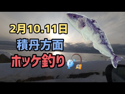 【２月】北海道 積丹方面 ホッケ釣り