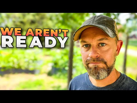 THIS IS THE START | WW3 Preparedness and Buying Land - Q&A