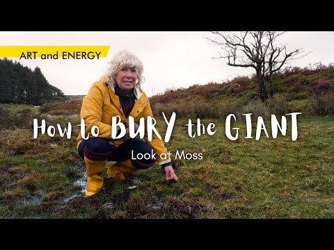 Looking at moss with Art and Energy's How to Bury the Giant project