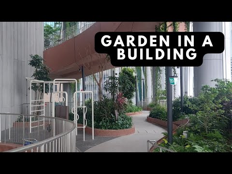 CANNOT access sky garden? Let's explore green oasis #capitaspring 🏠