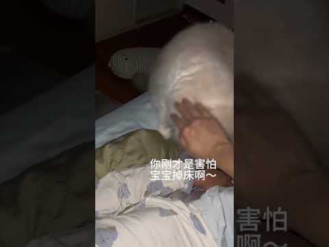 我家猫在默默保护孩子也～ #记录猫咪日常 #萌娃和萌宠 #猫和孩子