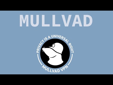 Is The Mullvad Browser and VPN Any Good?