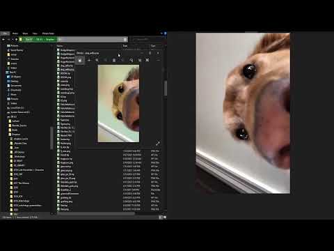 Vertical UI | Dog Selfie | HEAVYPAINT 212