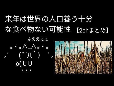 来年は世界の人口養う十分な食べ物ない可能性｜食料危機が迫っている【バブニュース】