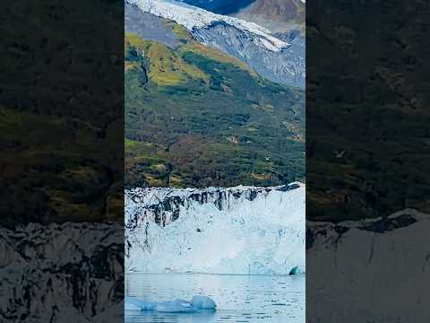 Bald Eagle flying around Glacier in Alaska #shorts