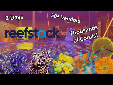 Every Coral At Reefstock Denver 2024!