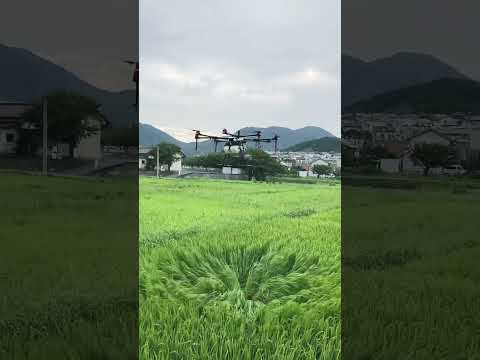 #ドローン #dji #農業 #農業用ドローン #農薬散布ドローン #中間市 #北九州市 #福岡県 #MG1 #T20 #AGRAS #宗像市 #岡垣町 #スカイアローズ