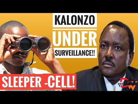 ELITE NIS SPY PLANTED IN KALONZO'S COMMAND CENTER!