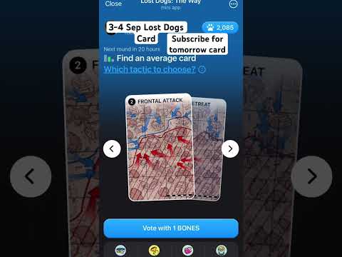 3-4 Sep Lost Dogs Card | Find an average card #airdrops #lostdogs #tomarket