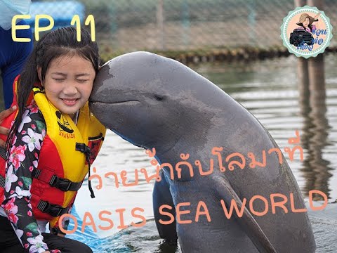 EP11  ว่ายน้ำกับปลาโลมาที่  OASIS SEA WORLD จันทบุรี