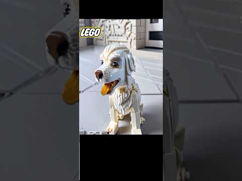 Turning dog into lego