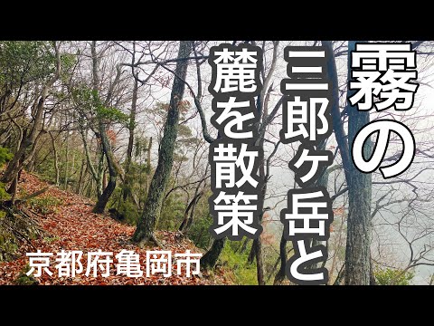 【やままちめぐり】京都府亀岡市「三郎ヶ岳」