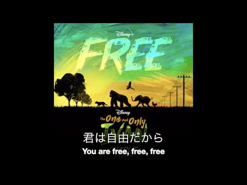 (和訳)Charlie Puth - Free (From "The One and Only Ivan")