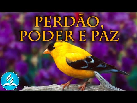 Hinário Adventista 210 - PERDÃO, PODER E PAZ