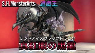 城之内君の激レアモンスターでデュエルスタンバイ【S.H.MonsterArts 遊戯王　真紅眼の黒竜-レッドアイズブラックドラゴン】レビュー　RED-EYES-BLACK-DRAGON review