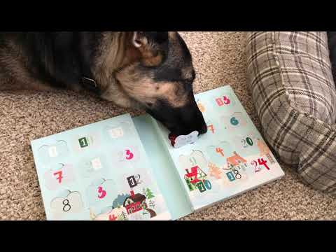 Ep128 December 22 Advent Calendar Cookie Treats for our German Shepherd. Happy Sunday