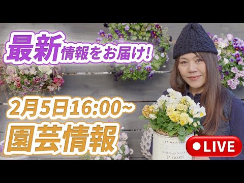 2月５日　水曜ライブ16:00〜園芸情報！