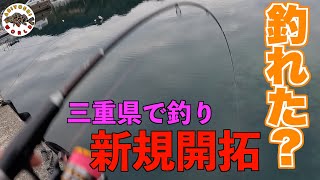 【三重県尾鷲港で釣り】三重県尾鷲港で小物しか釣れないので振り返ってみた!!三重県の釣り新スポット探索!!