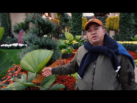 Plantita Paradise | Longwood Garden, PA | Bisaya Vlog