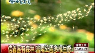 東森財經新聞_生活有大美_緯創認養富陽公園