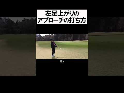 左足上がりのアプローチ #shorts  #golf #矢野東 #男子プロ #ゴルフ #アプローチ #傾斜