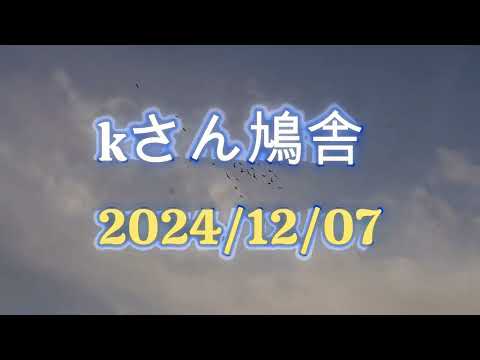 kさん鳩舎　2024年12月7日  SONY α6600で2回目の撮影   SONY E 35mm F1.8 OSS　SONYショットガンマイク ECM-G1