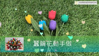 蠶繭花動手做