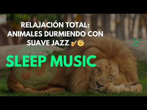 Relajación Total Animales Durmiendo con Suave Jazz 🎷😴