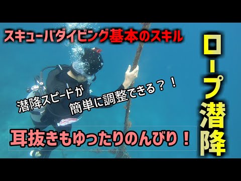 【沖縄ダイビング】基本のスキル　ロープ潜降　ピンクマーメイド」