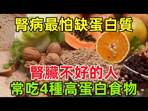 腎病最怕缺蛋白質？醫生：腎臟不好的人，可常吃這4種高蛋白食物#健康常識#養生保健#健康#健康飲食