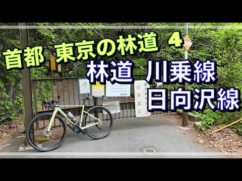 奥多摩の林道探索　林道 川乗線・日向沢線　日原街道沿いの林道　　　【グラベルさんいらっしゃい】