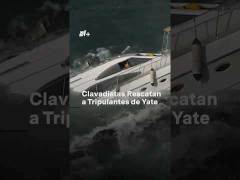 Clavadistas de la Quebrada rescatan a turistas de un yate que se hundía - N+ #Shorts