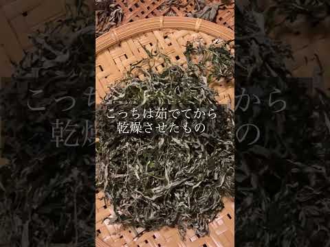 ヨモギ仕事#無肥料 #無農薬 #家庭菜園 #ヨモギ