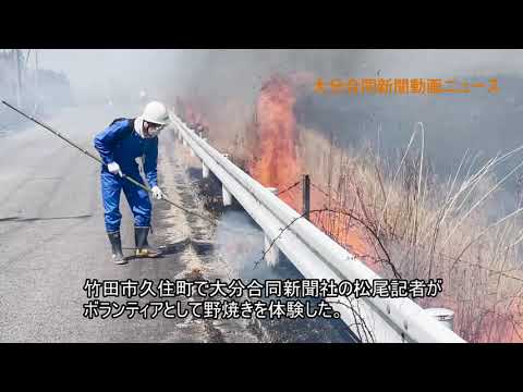 【体感ルポ】久住高原で野焼きボランティア