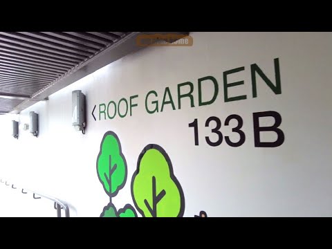 TENGAH ☘️ROOF GARDEN☘️133B PLANTATION GRANGE