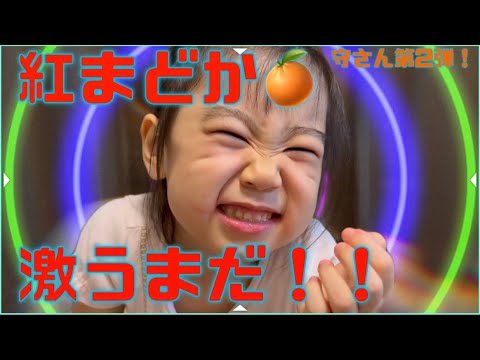 【紅まどか】平田守さん柑橘、第二弾！！紅まどかを三姉妹と食レポしてみた🍊