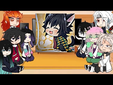 Hashiras React To TikToks ( Cute Cat ) + Random Things || Part 3 || Demon Slayer Spoilers !!! 💕