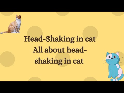 When should cat owners see a vet for headshaking