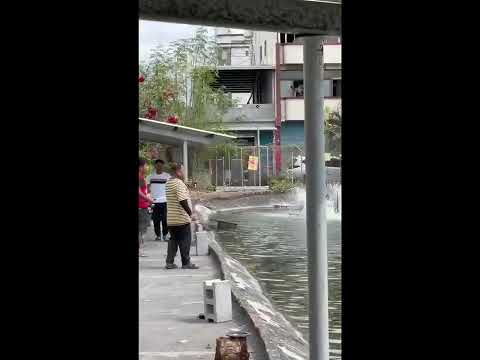 領先業界，專注養水養魚，慶祝迷因幣不斷創高，參月回饋佰萬魚給釣友