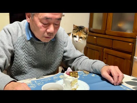 クリスマスケーキをはやく食べたい住職と見守る猫