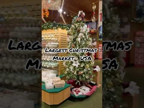 Largest Christmas market USA #christmas #merrychristmas #santaclaus #happiness#viralvideo