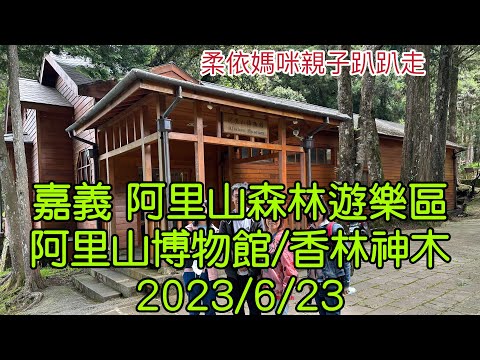 嘉義阿里山森林遊樂區 阿里山博物館/香林神木  2023/6/23-06