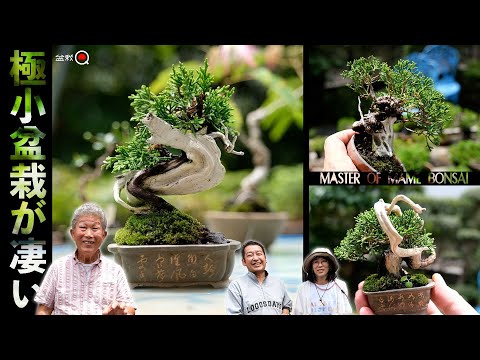 Amazing tiny bonsai! Kagomiya-san's Shelf Viewing ~June Edition~ [Bonsai Q]