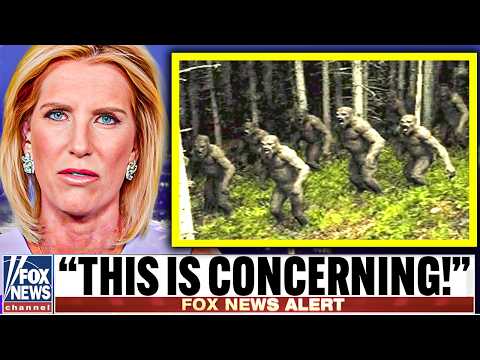 FBI Agent Just Confirmed The Bigfoot Evidence Is Actually Real!