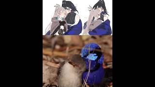 Kronmei Love birds🤎💙 #vtuber #holomemes #hololivememes #hololive