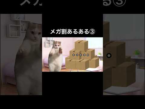 【Qoo10メガ割あるある】あれこんなに買ったっけ？ #猫ミーム