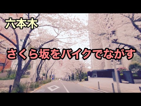 【六本木】さくら坂をバイクでながす 【360°】