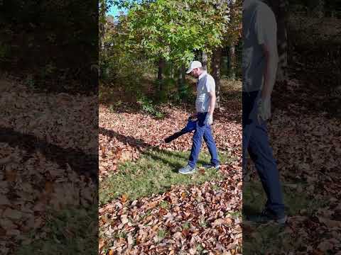 Can you use a leaf blower to find your ball? 🌬️🍂